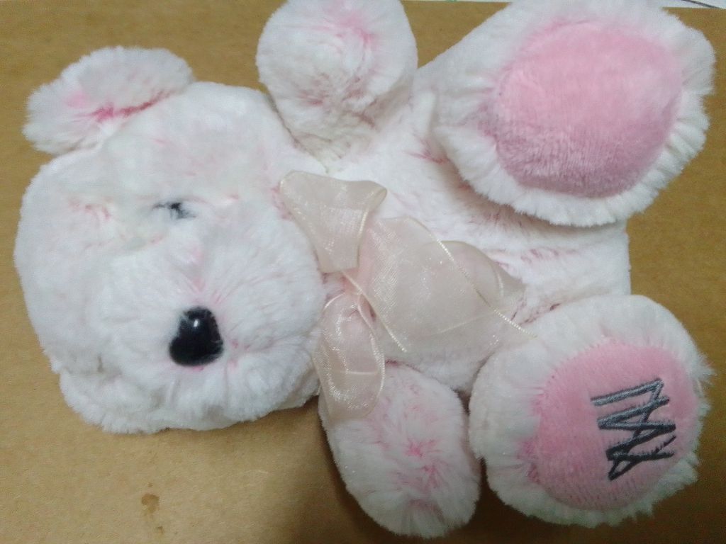 代售_二手_A-Bear Workshop 毛絨白色和粉色泰迪熊帶聲音毛絨動物玩具(圖片色)